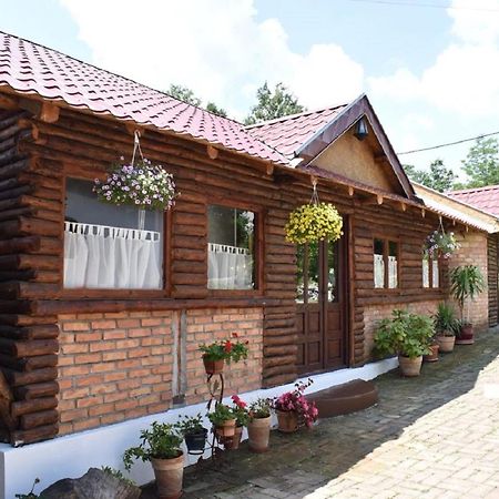 Panorama Lomnica Bed & Breakfast เดสโปโตวัก ภายนอก รูปภาพ