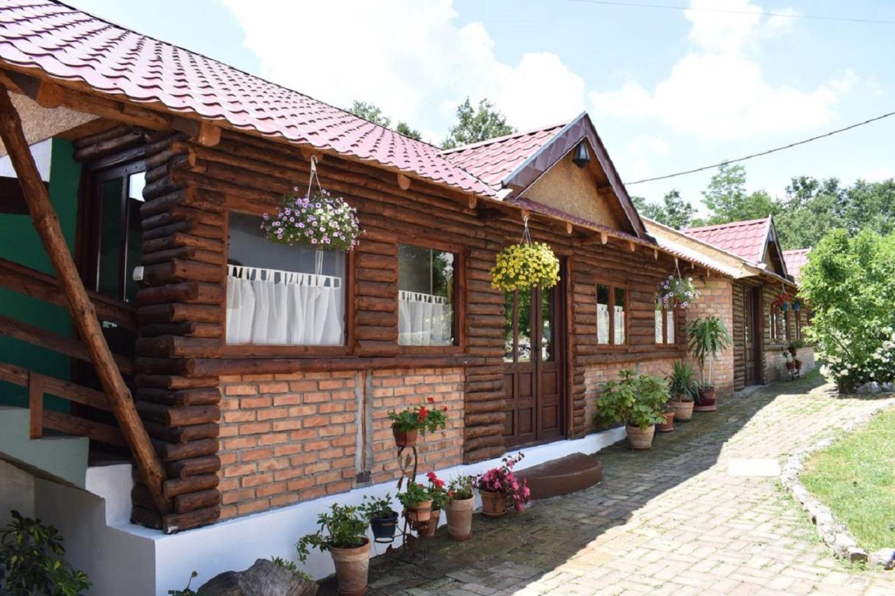 Panorama Lomnica Bed & Breakfast เดสโปโตวัก ภายนอก รูปภาพ