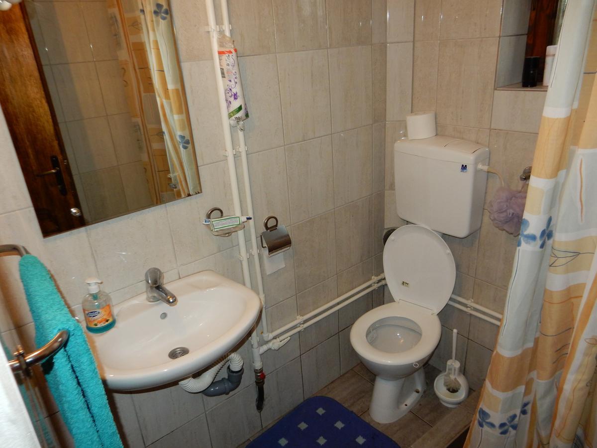 Panorama Lomnica Bed & Breakfast เดสโปโตวัก ภายนอก รูปภาพ